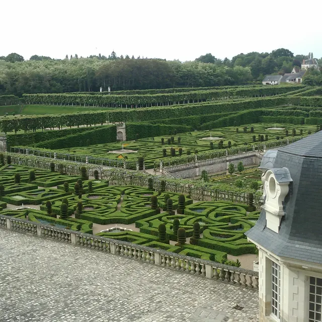 Gravel walks and box hedges leading through the Villandry gardens