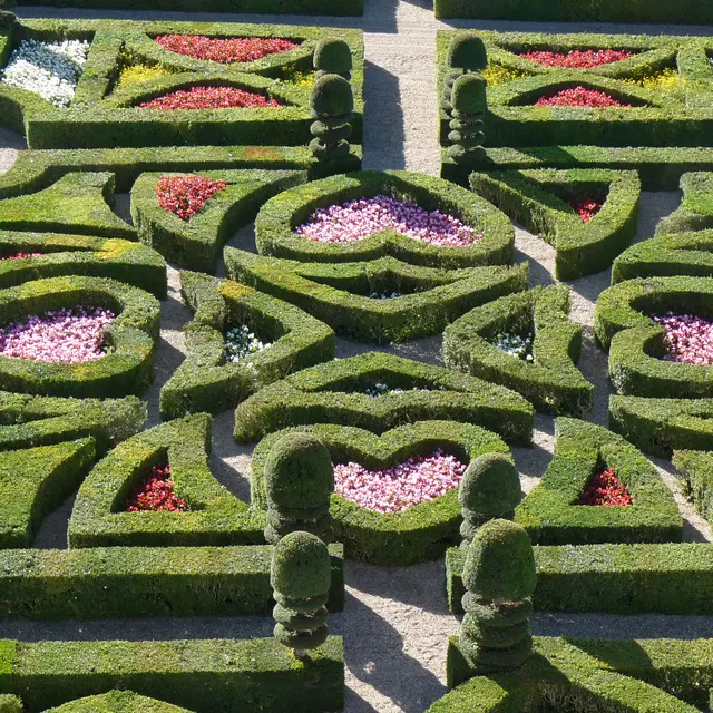 A heart of clipped box filled with flowers in the Garden of Love at Villandry