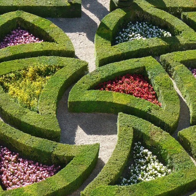 The Garden of Love at Villandry with its four box-hedge hearts