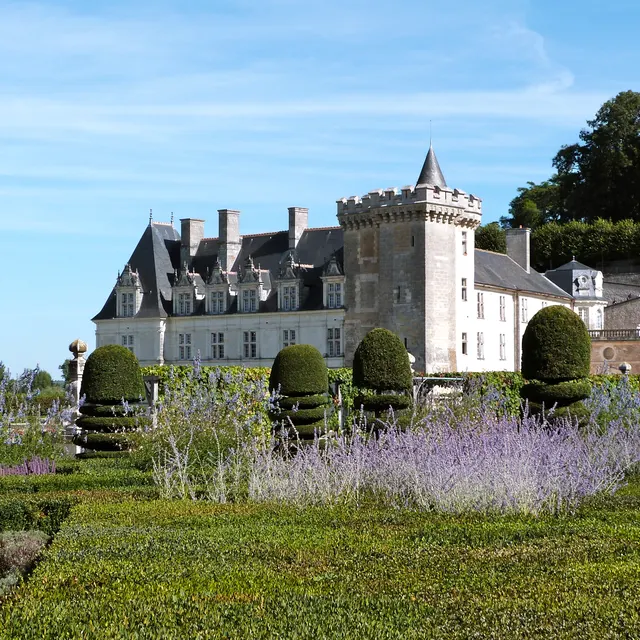 Lavender and box in front of the Château de Villandry