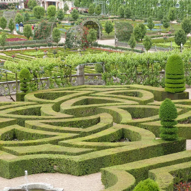 The clipped box hearts of the Garden of Love at Villandry