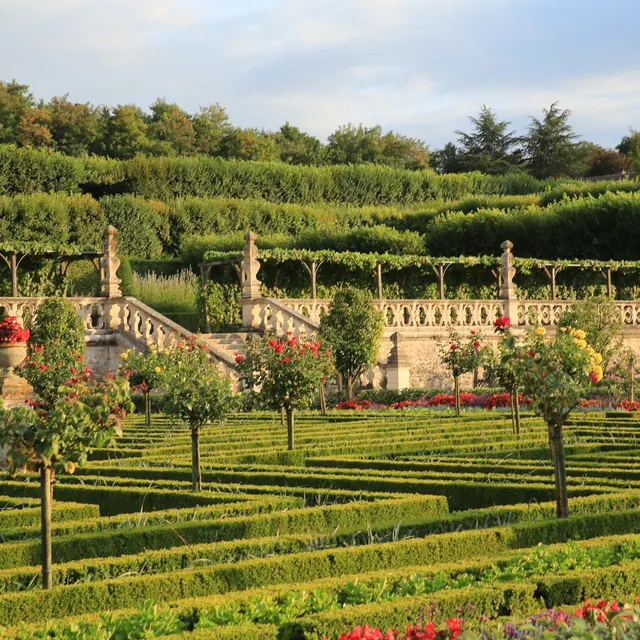 The vine pergola and terraces of the Villandry kitchen garden