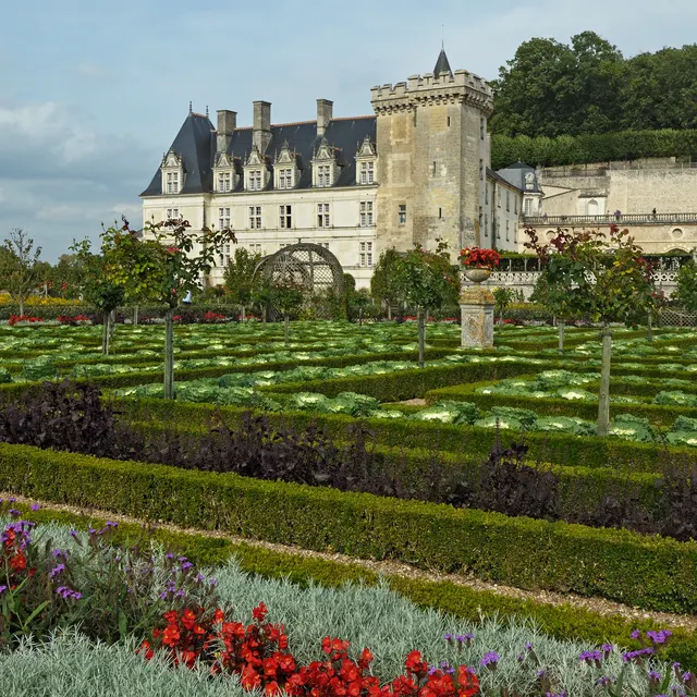 Rows of vegetables and flowers in the Villandry potager with the château behind